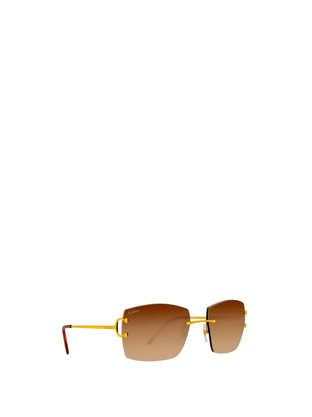 Square Frame Sunglasses