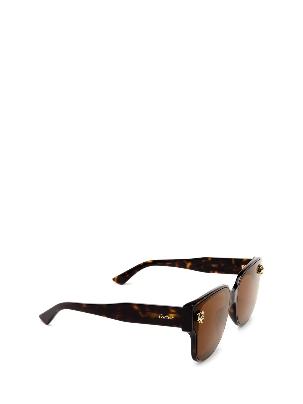Square Frame Sunglasses