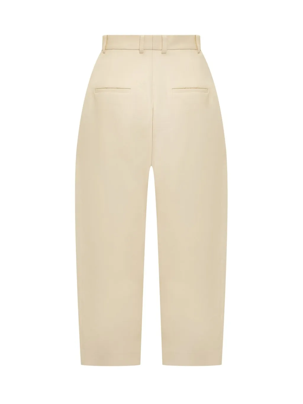 Pleated Tapered Pants