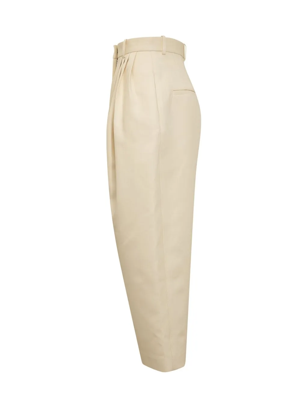 Pleated Tapered Pants
