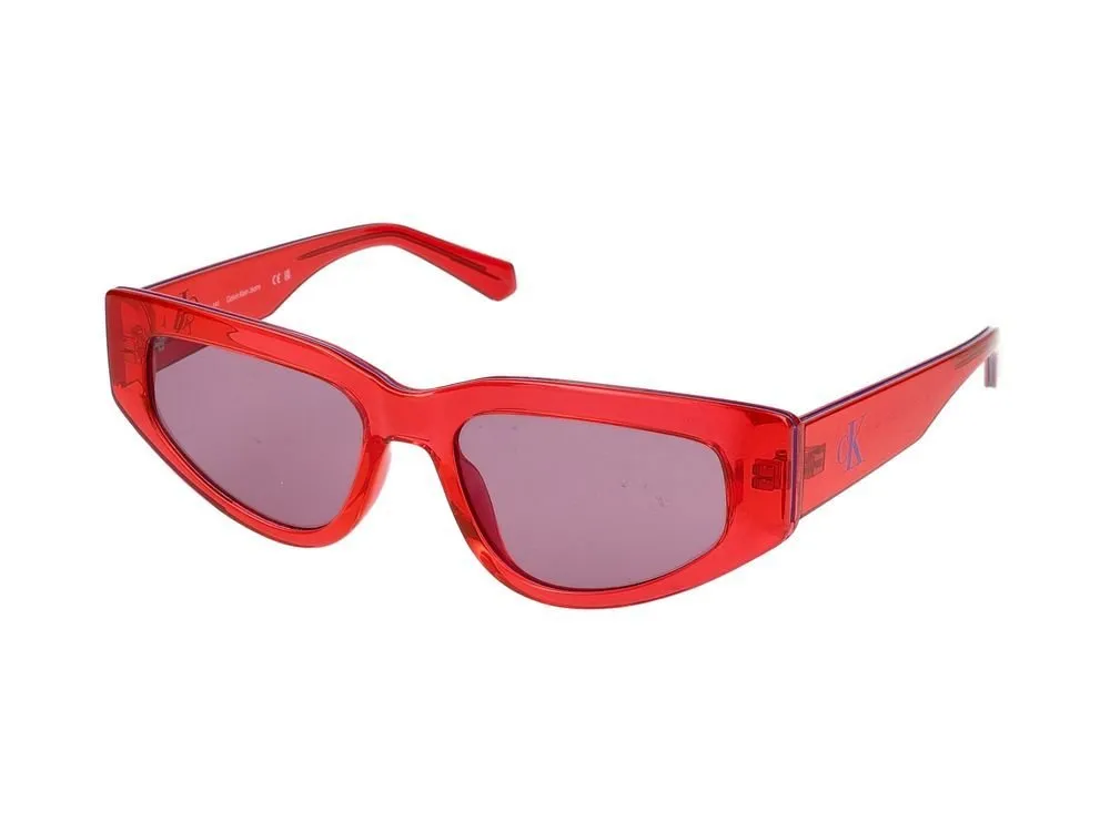 Cat Eye Frame Sunglasses