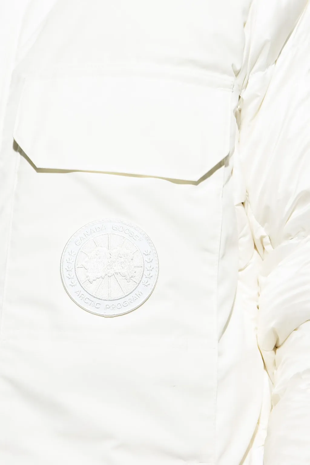 Paradigm Expedition Down Parka