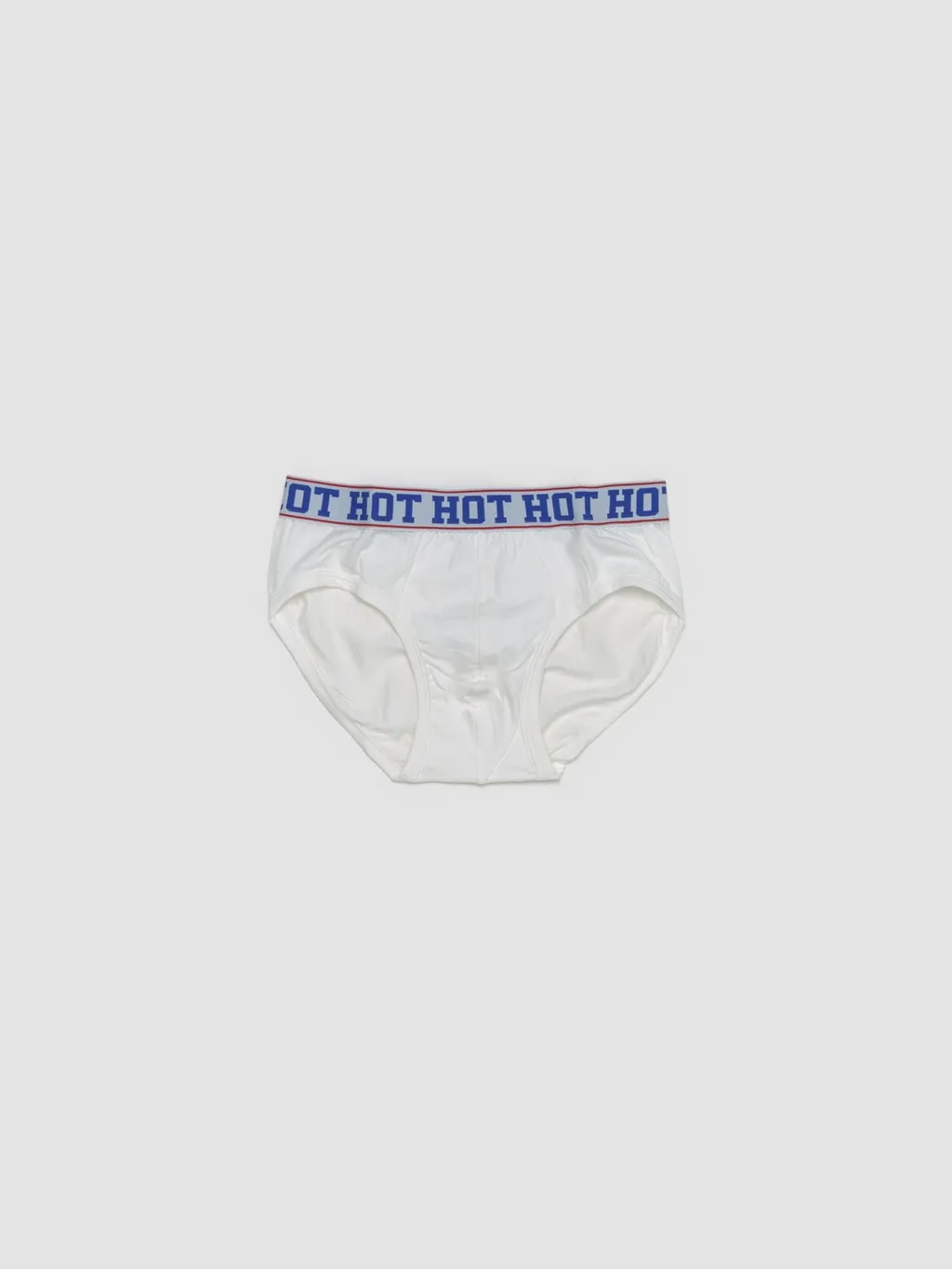 Waistband Wishes Briefs