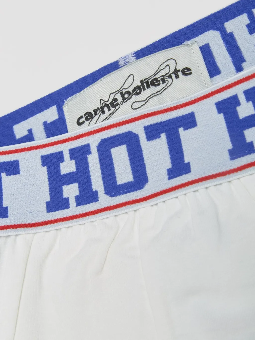 Waistband Wishes Briefs