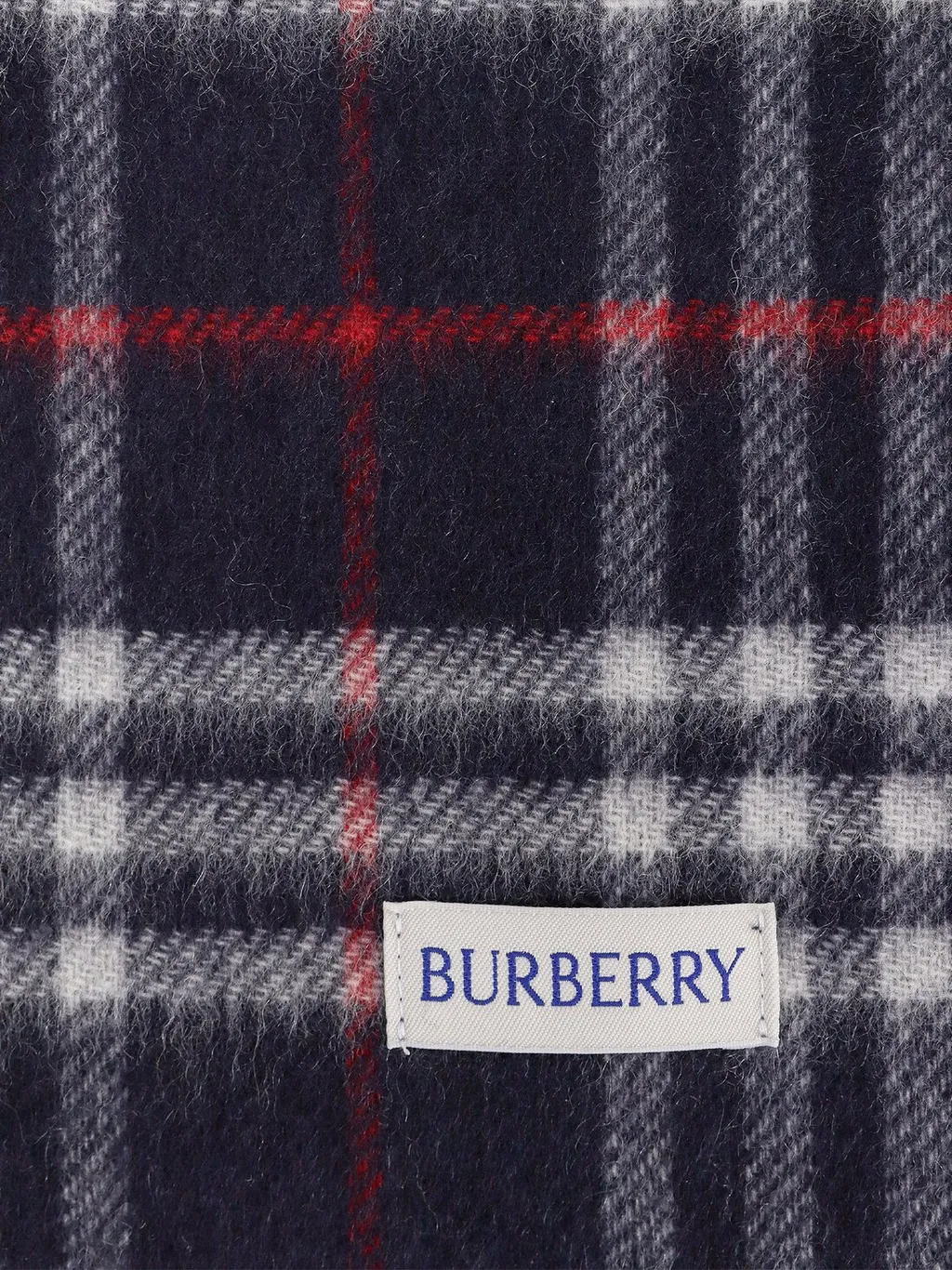 Check-Printed Fringed-Edge Reversible Scarf