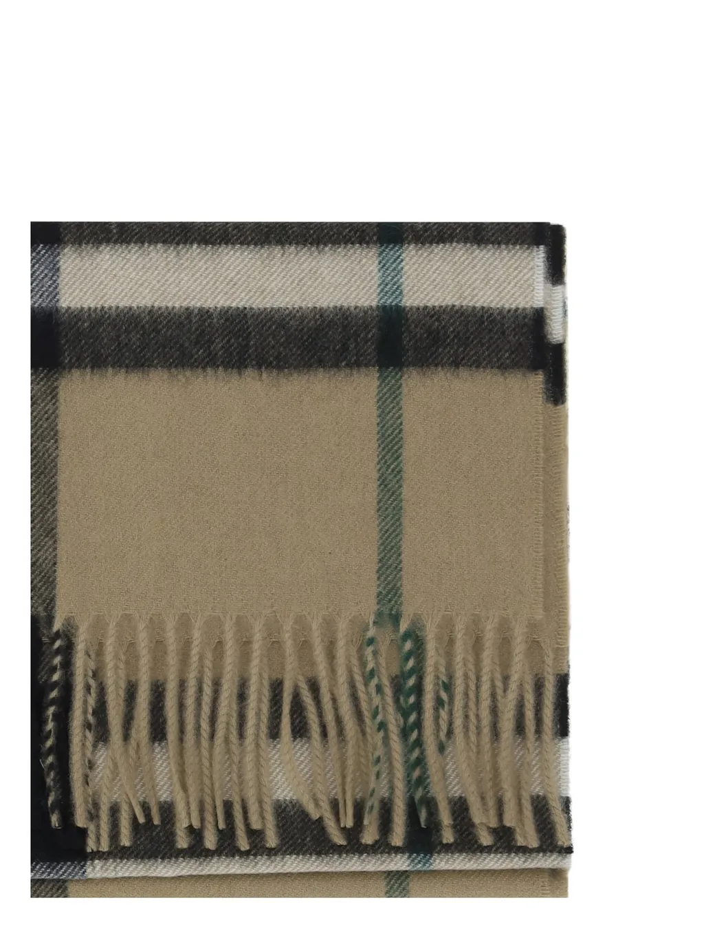 Checked Fringed-Edge Scarf