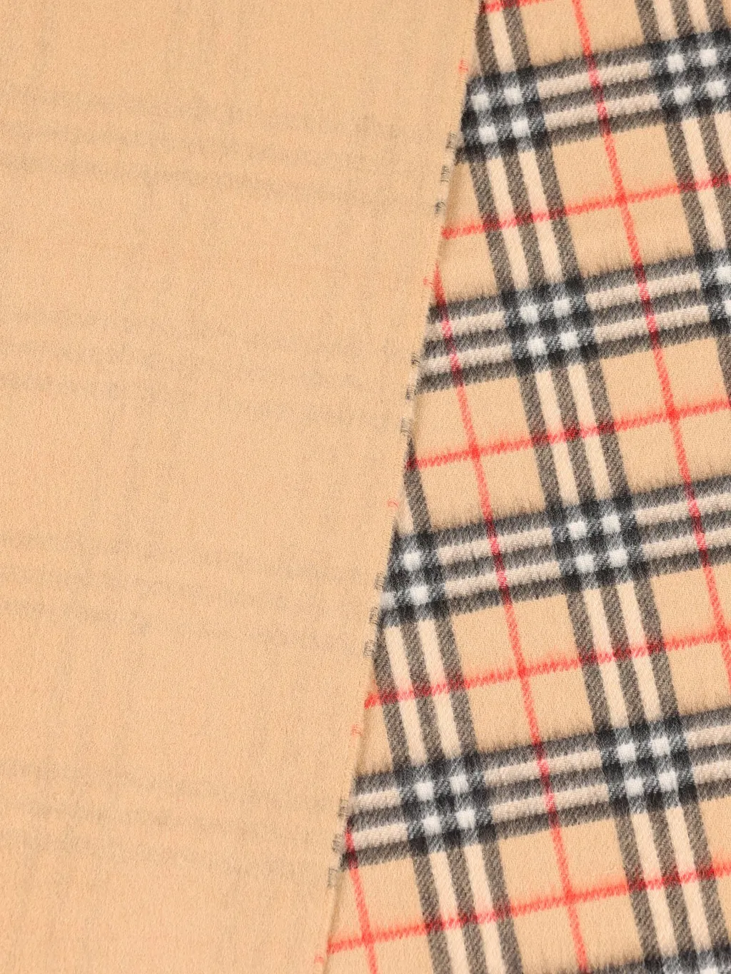 Checked Fringed-Edge Scarf