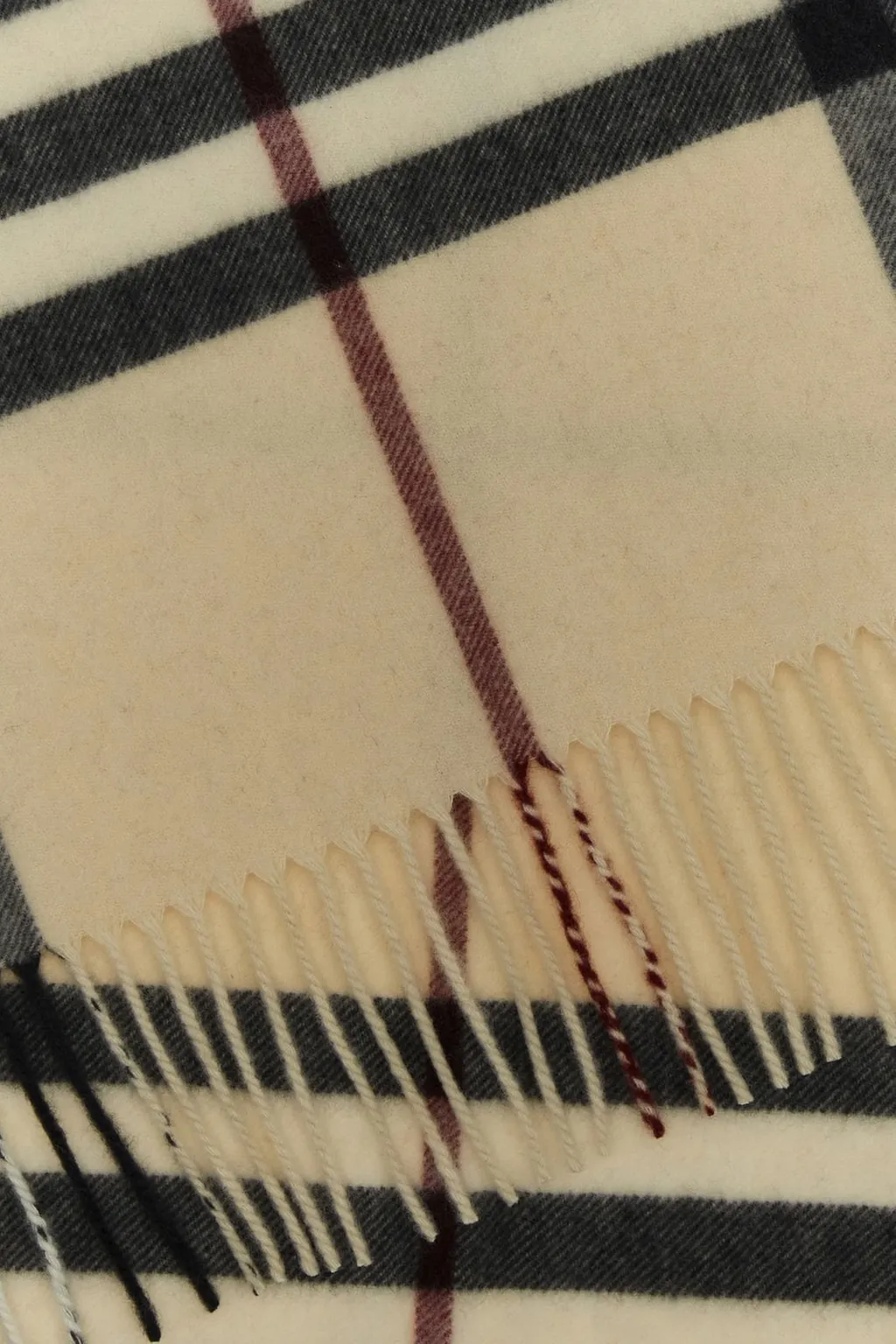 Checked Fringed Scarf