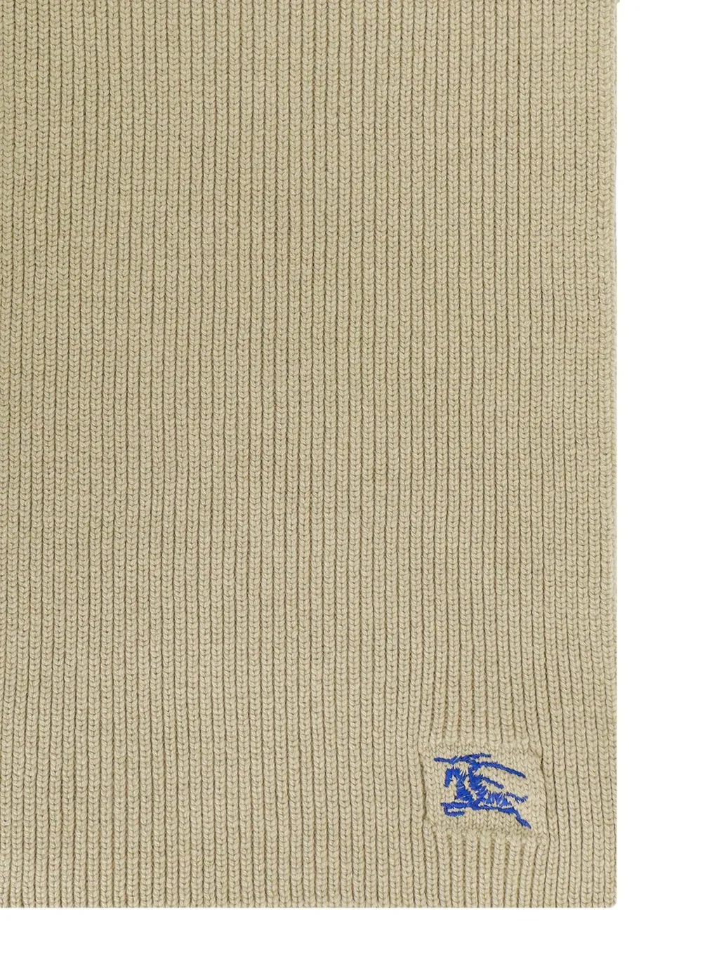 Ekd-Embroidered Knitted Scarf