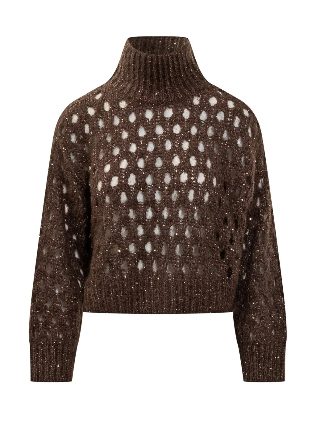 Dazzling Net Turtleneck Jumper