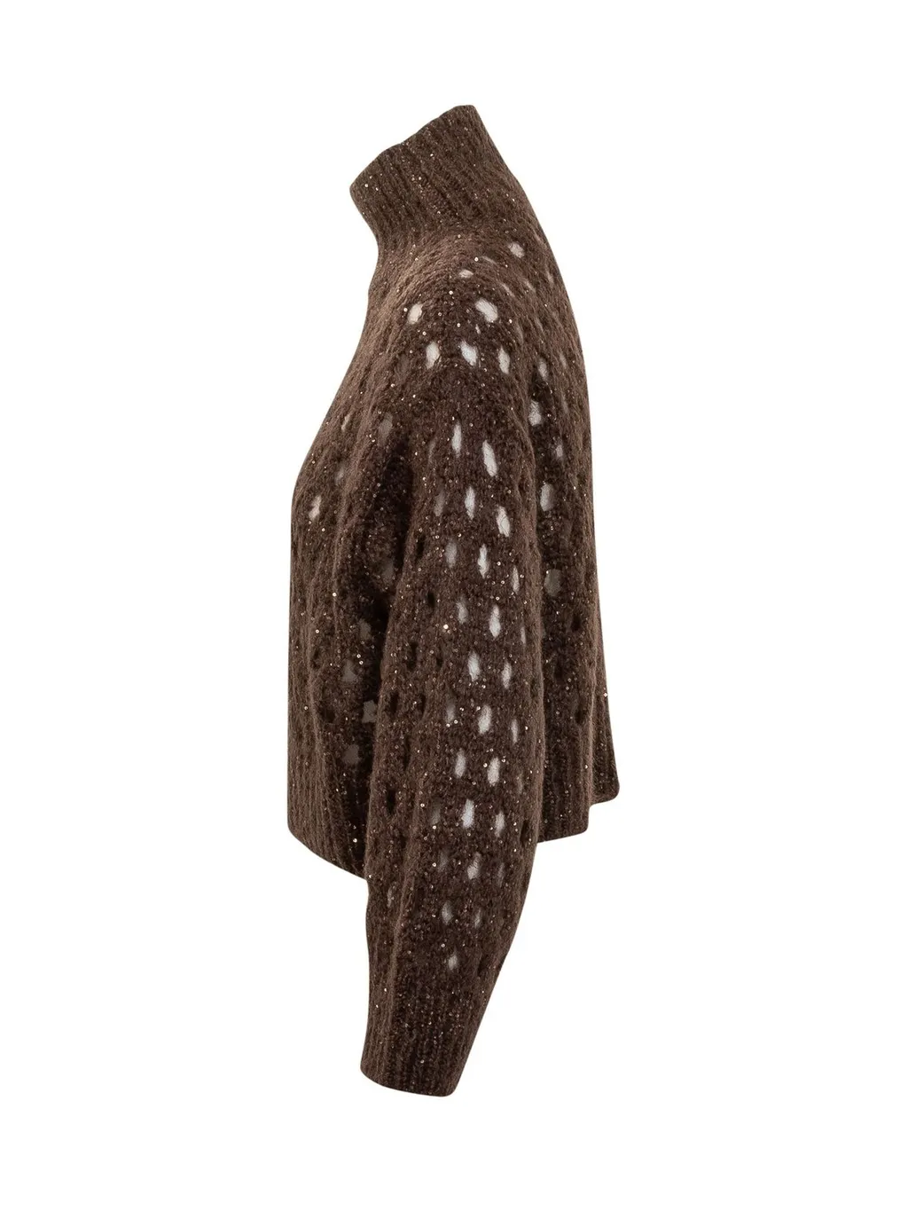 Dazzling Net Turtleneck Jumper