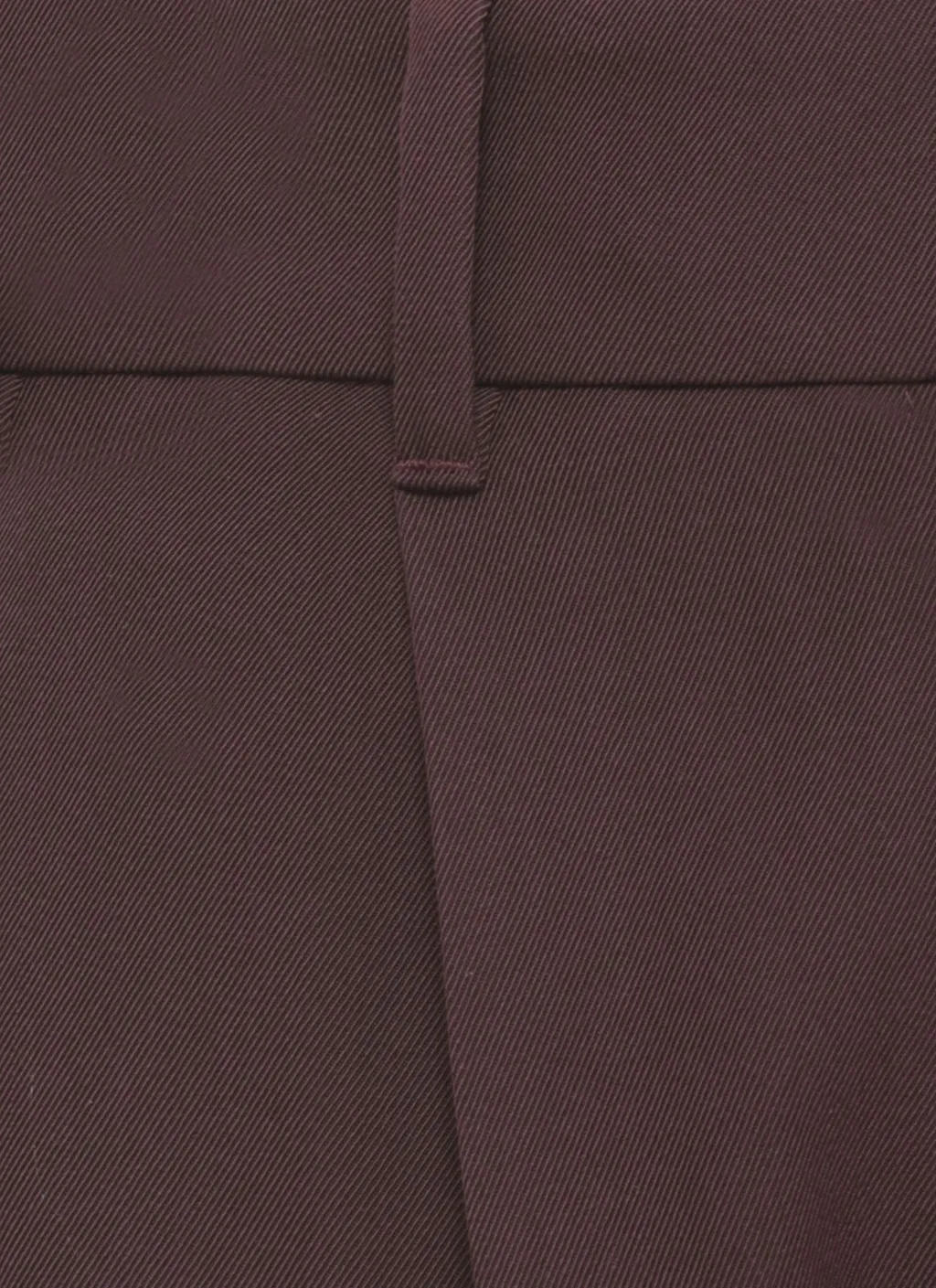 Pleated Trousers