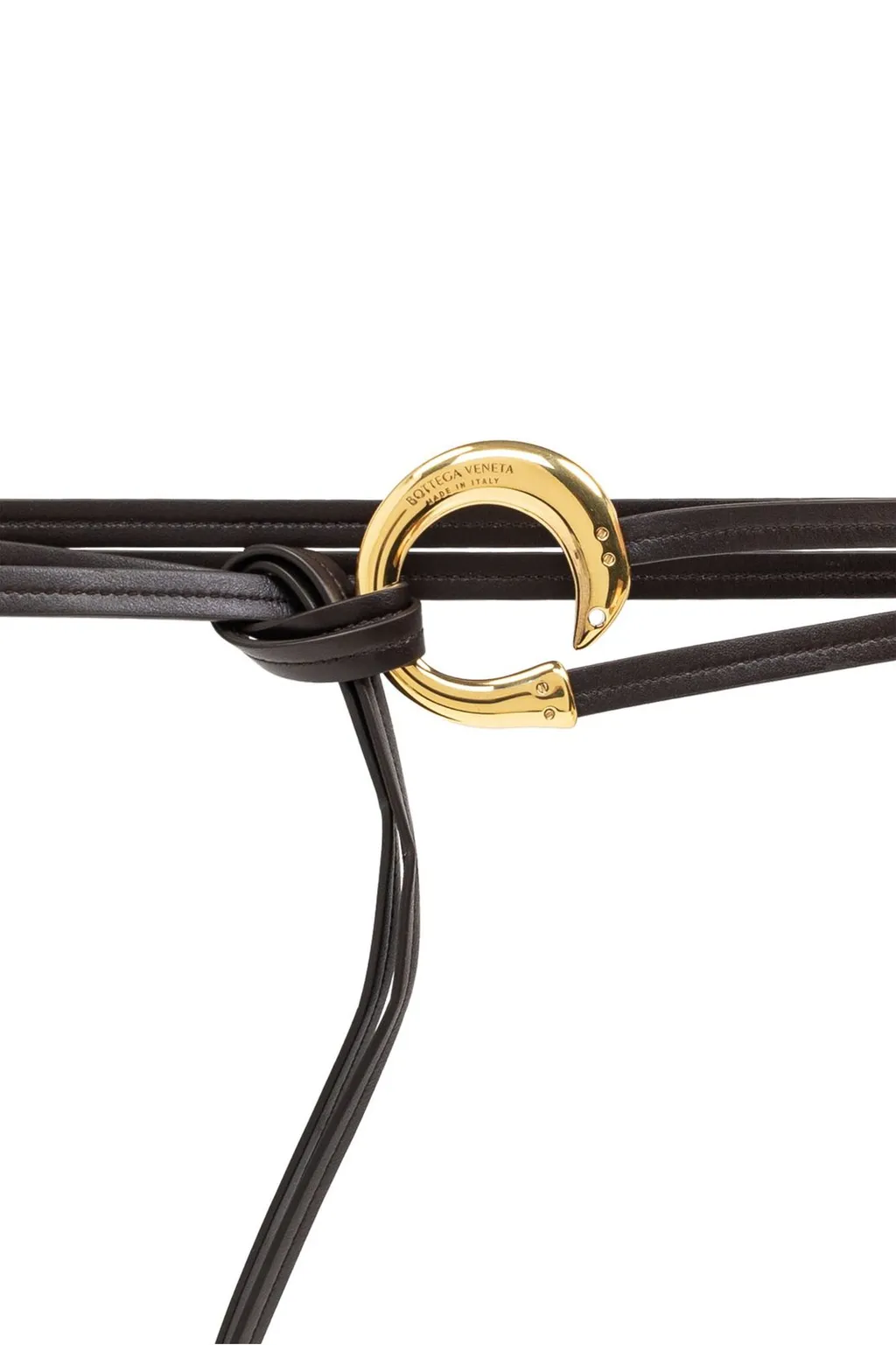 Sardine Belt