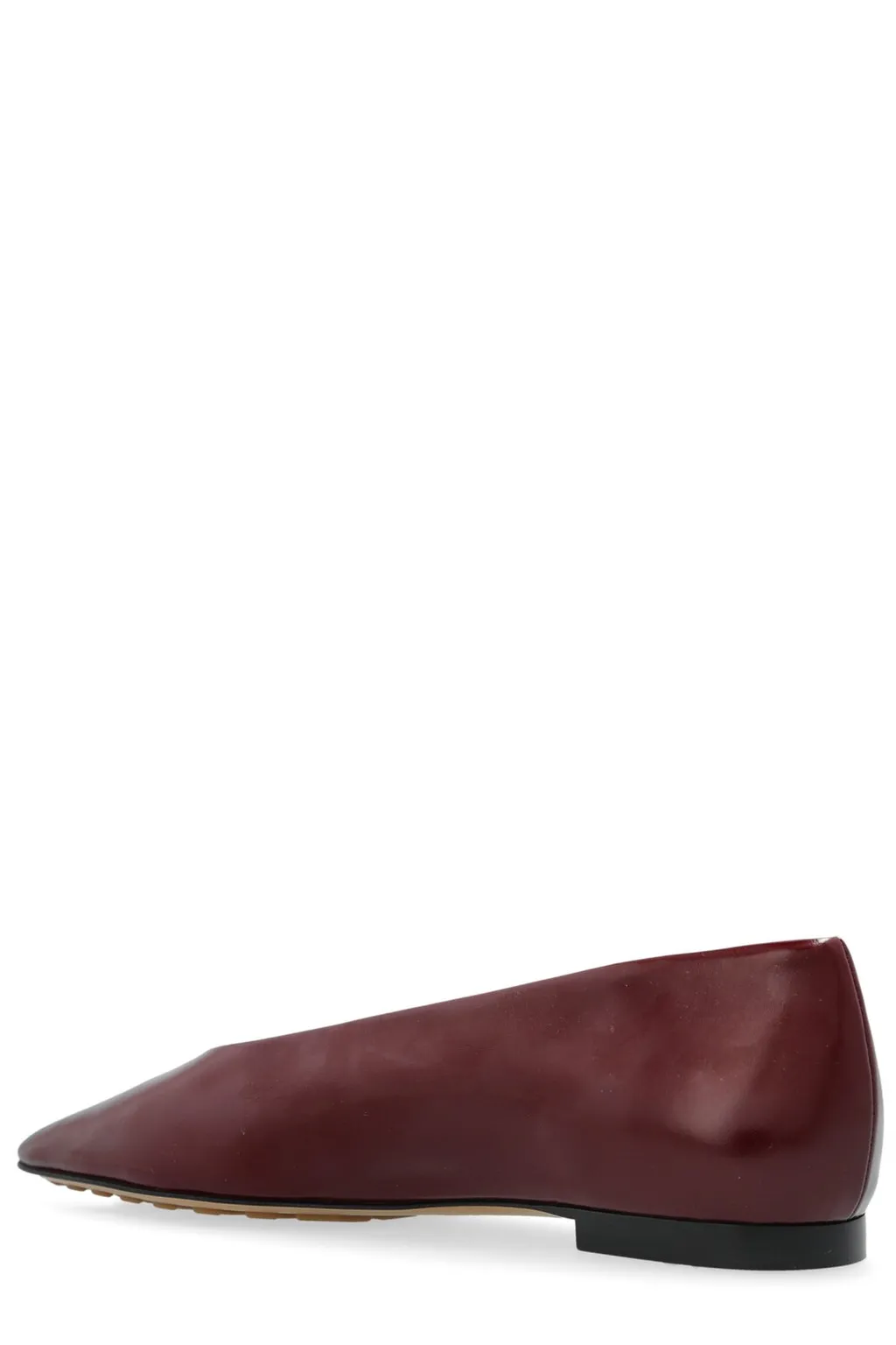 Sofia Ballerina Shoes
