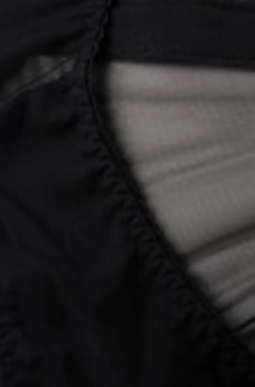 Tomoe Harness Briefs