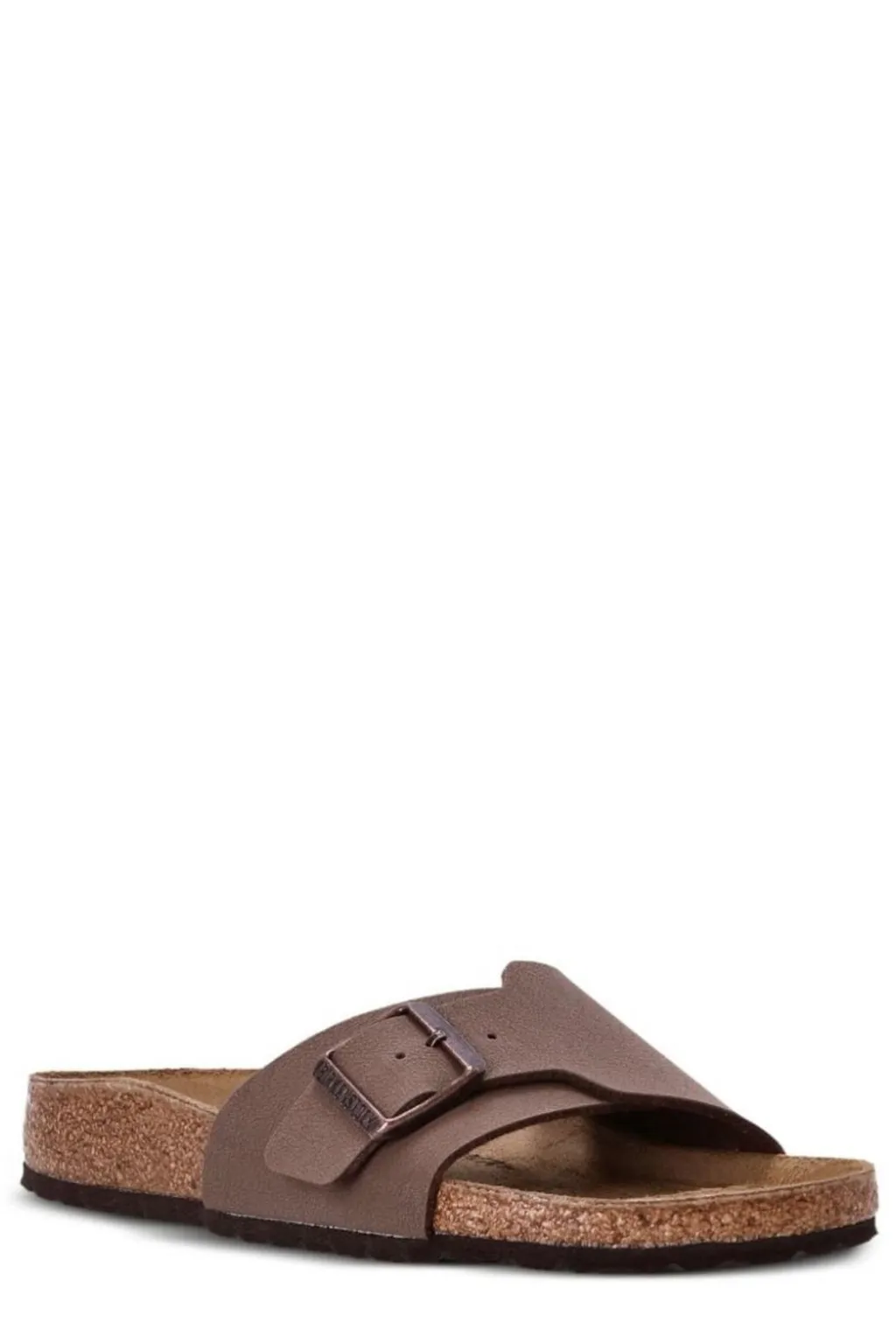 Catalina Bs Slides