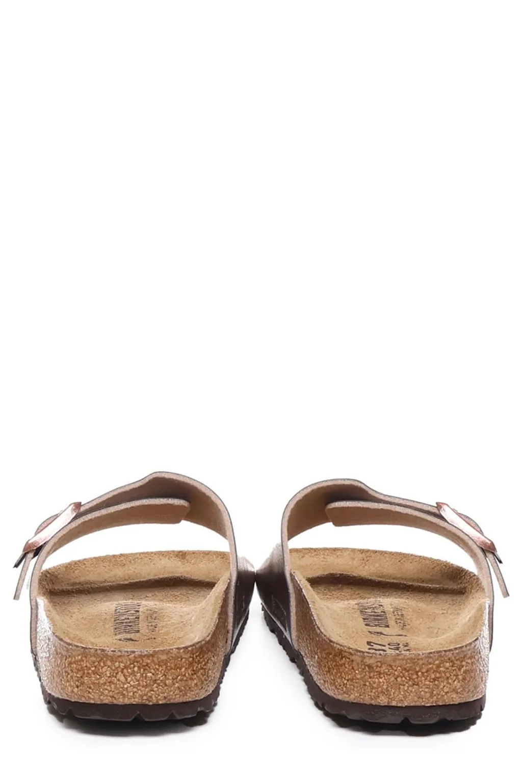 Catalina Bs Slides