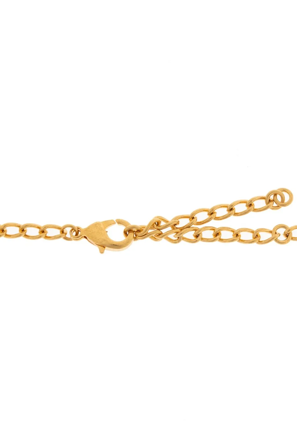 Carousel Horseshoe Collector Necklace