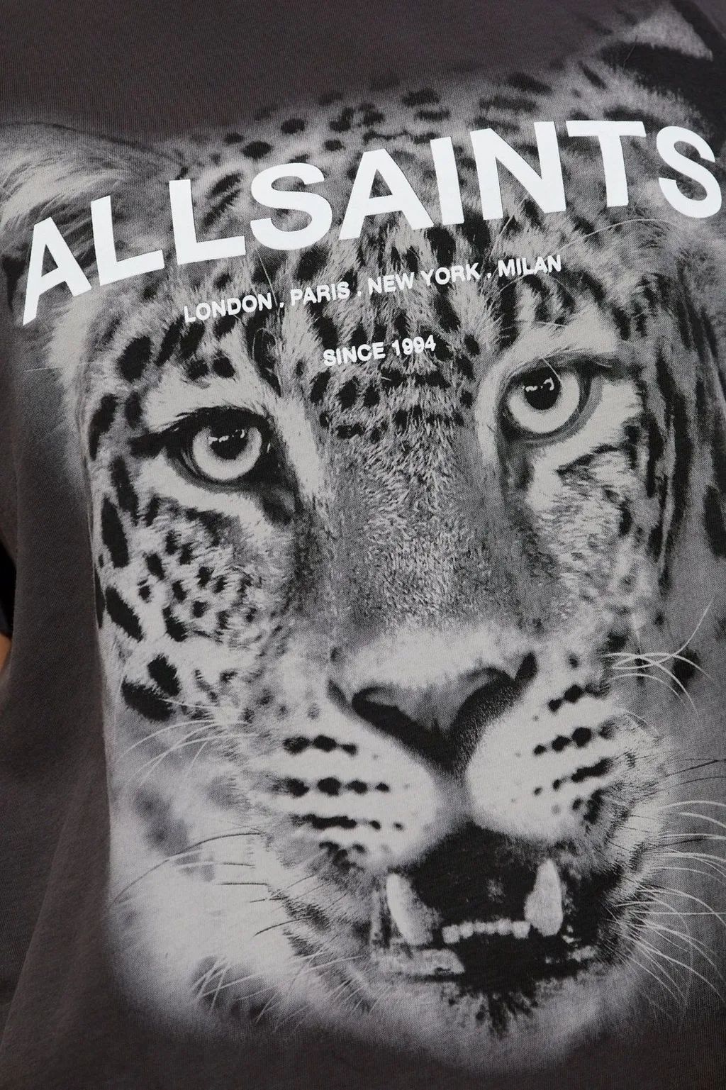 Roar Graphic T-Shirt