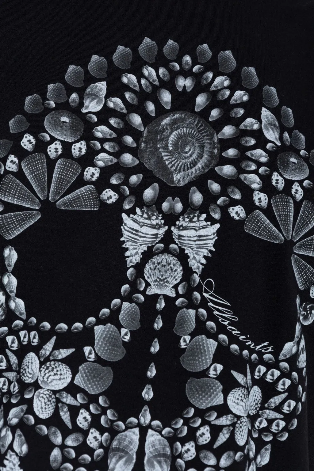Skull Graphic T-Shirt