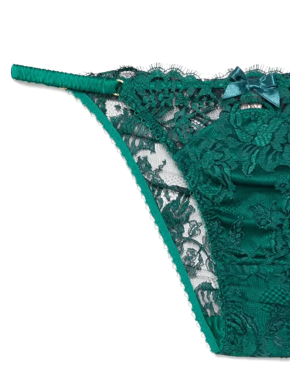 Solanna Lace Brief