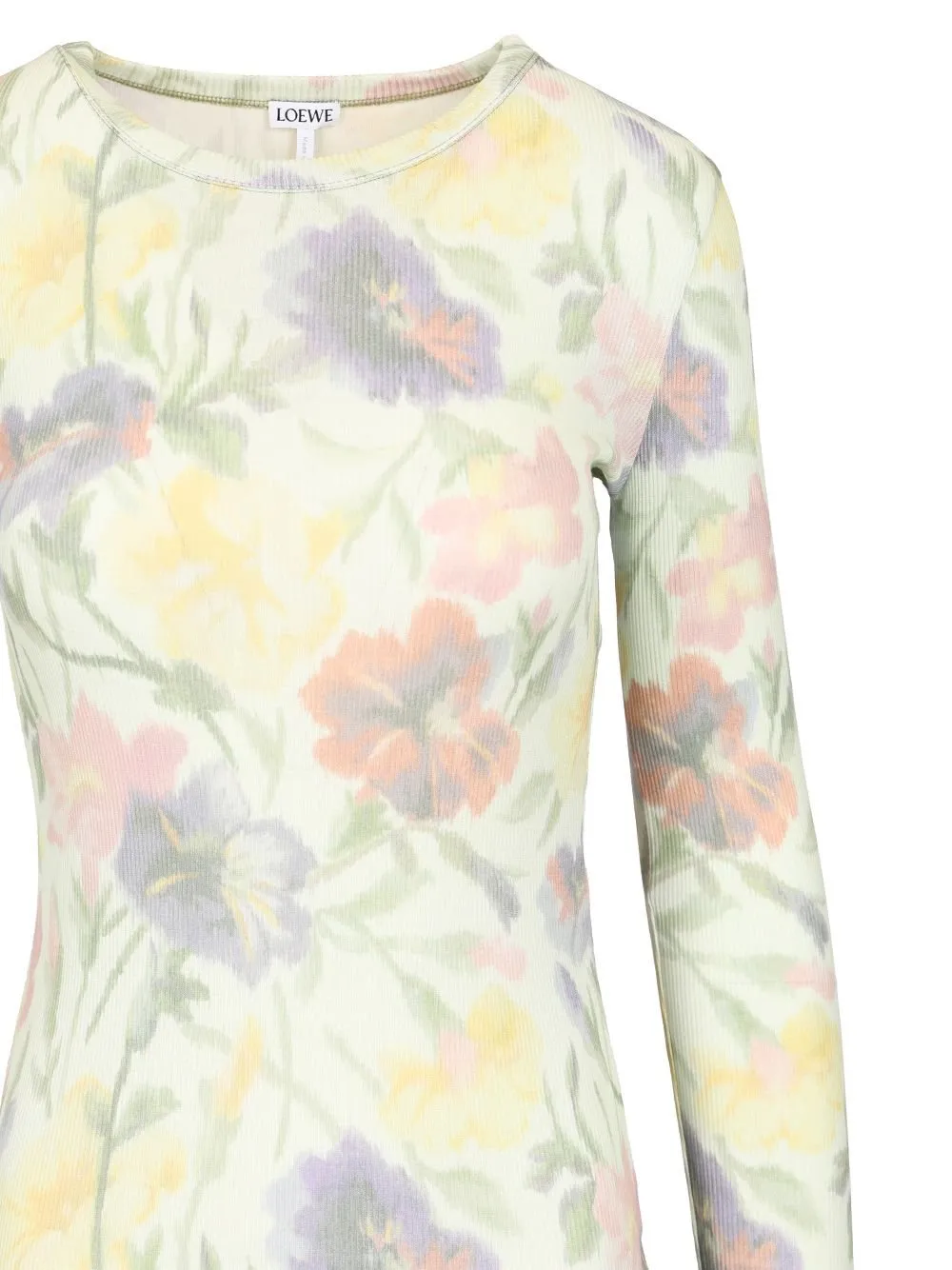 Floral Print Long Sleeve Dress