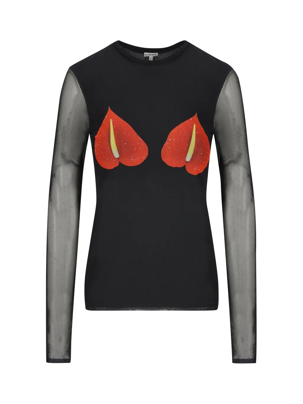 Long Sleeve Mesh Top