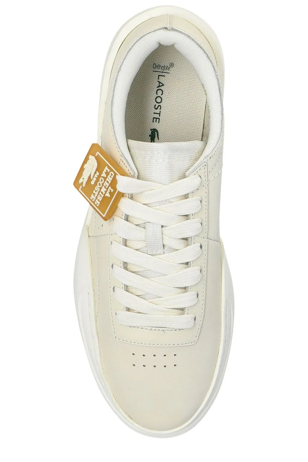 Low Top Sneakers