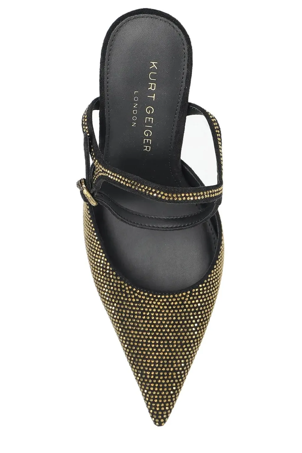 Pointed Toe Slingback Pumps