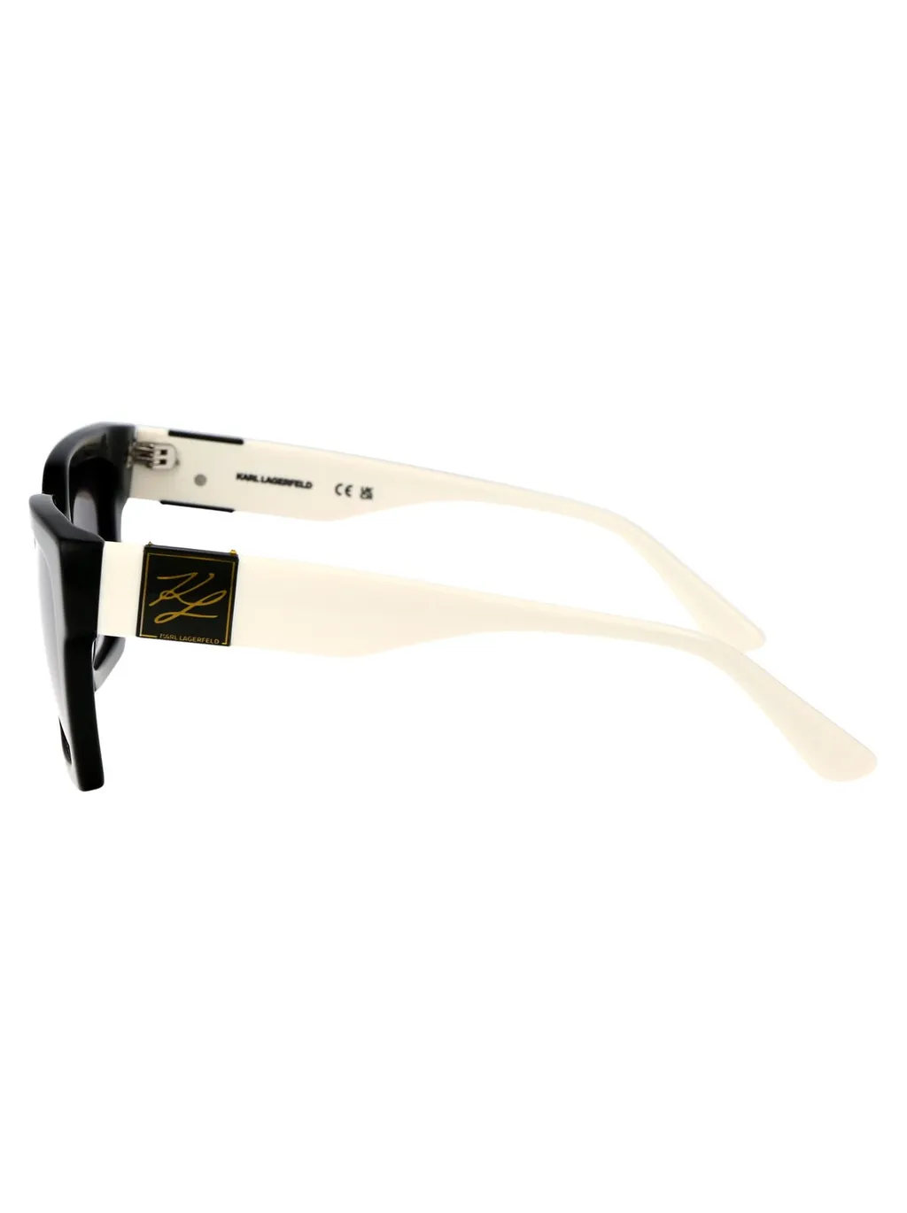 Square Sunglasses