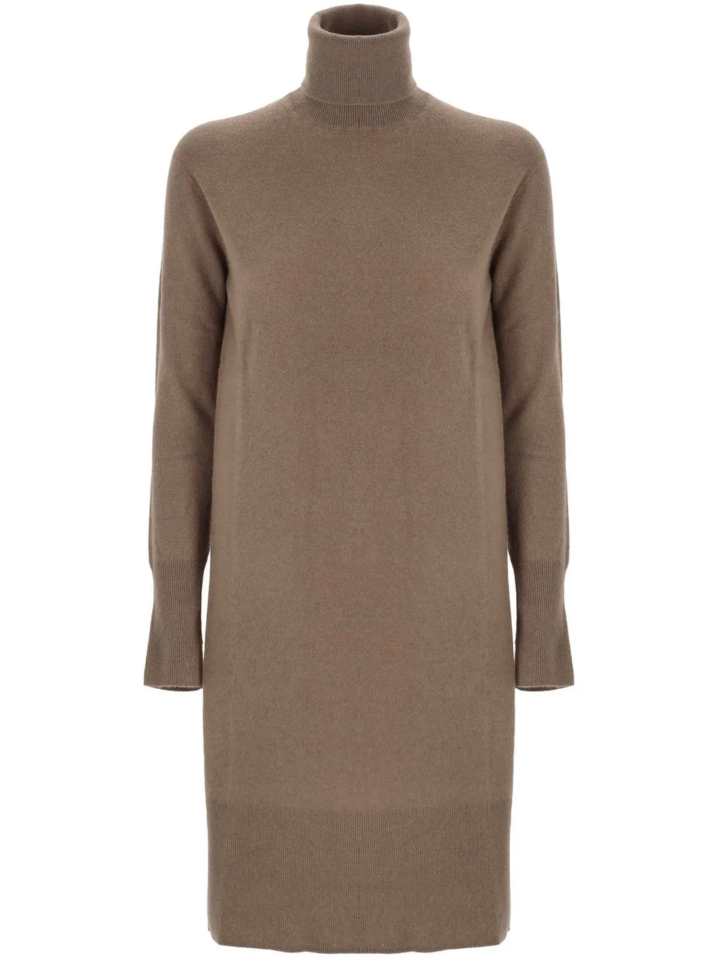 Turtleneck Dress
