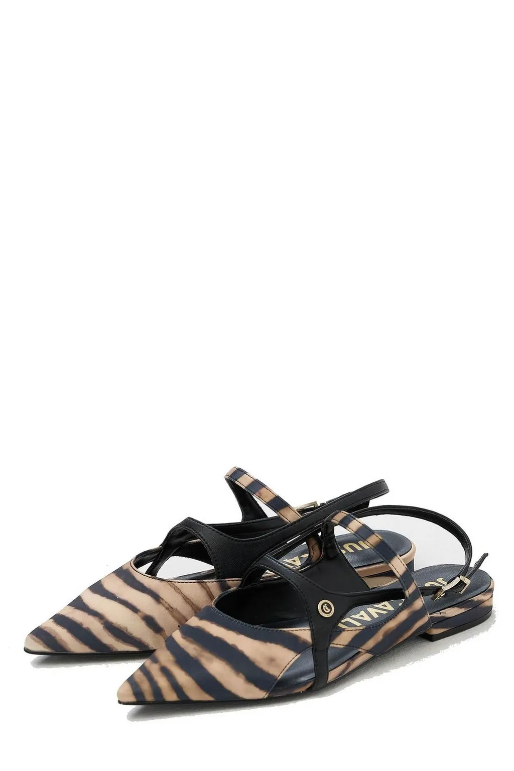 Pointed Toe Flats