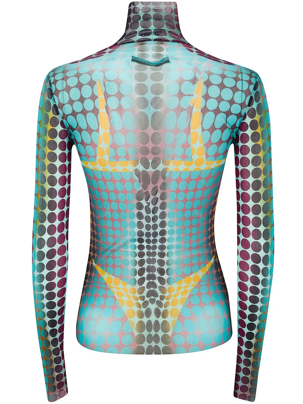 Mesh Turtleneck Top