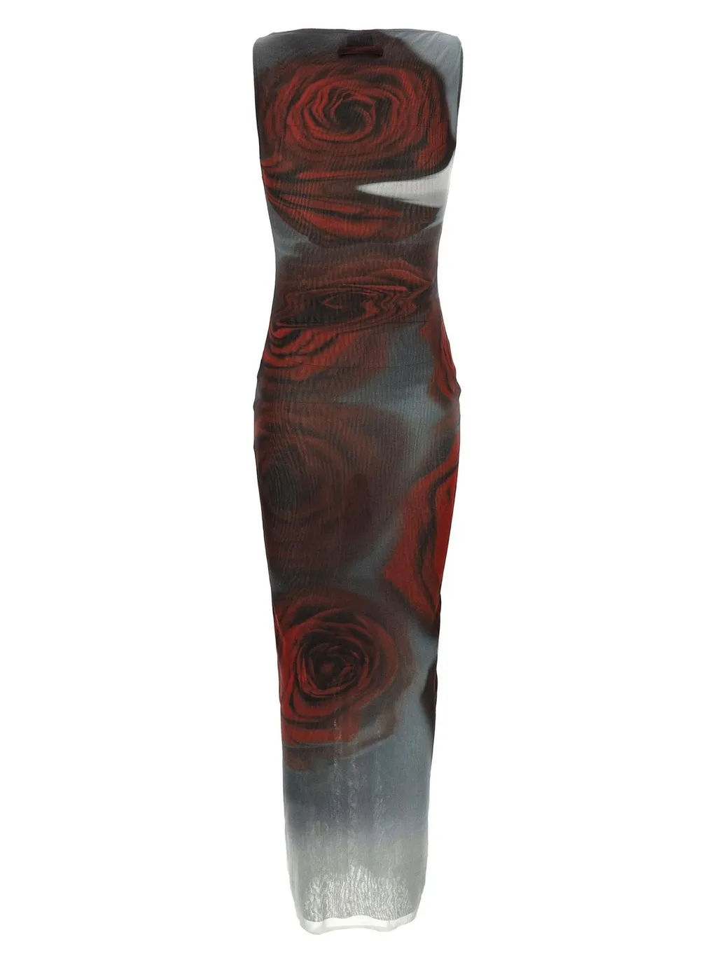 Rose Print Mesh Maxi Dress