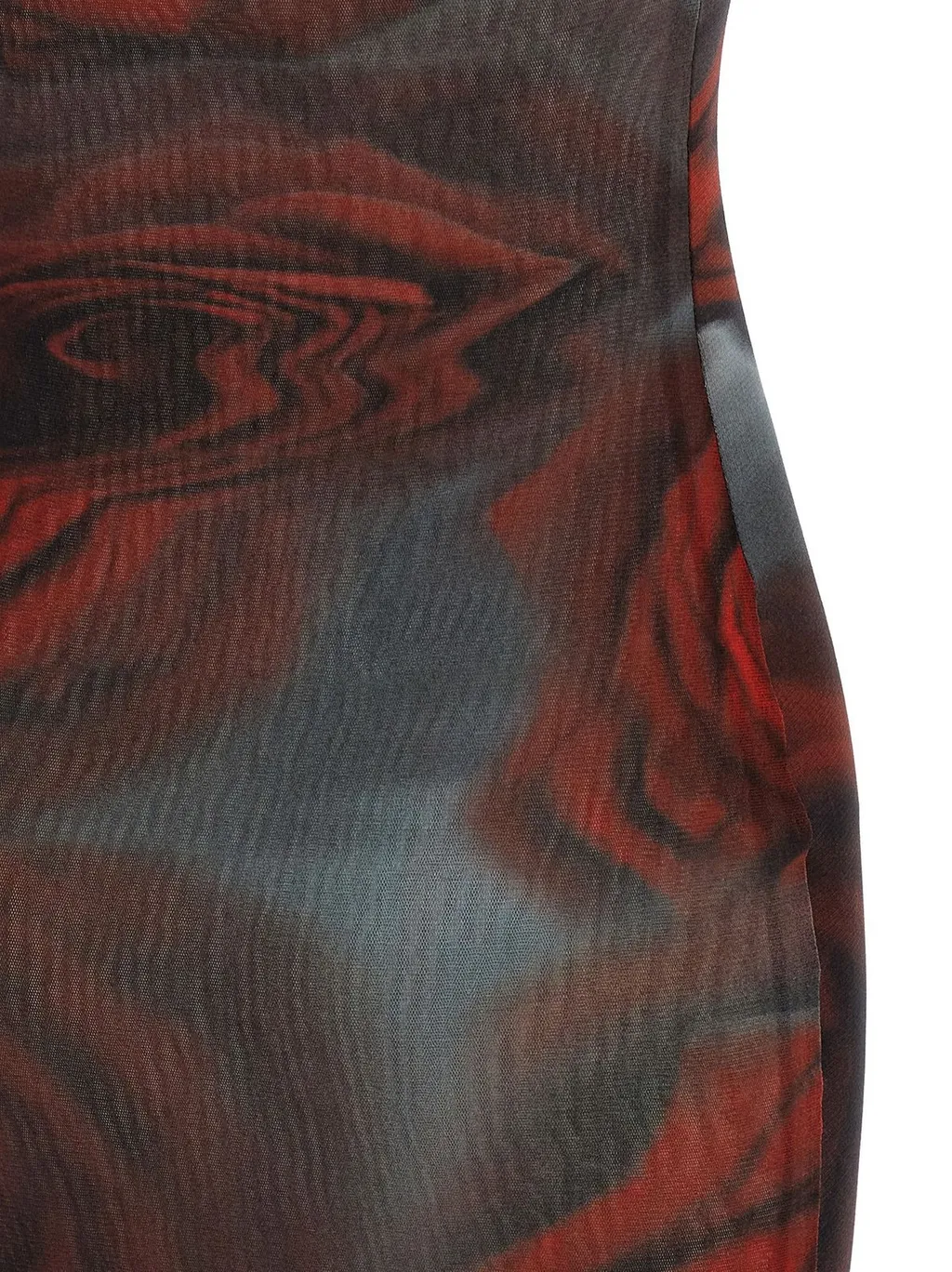 Rose Print Mesh Maxi Dress