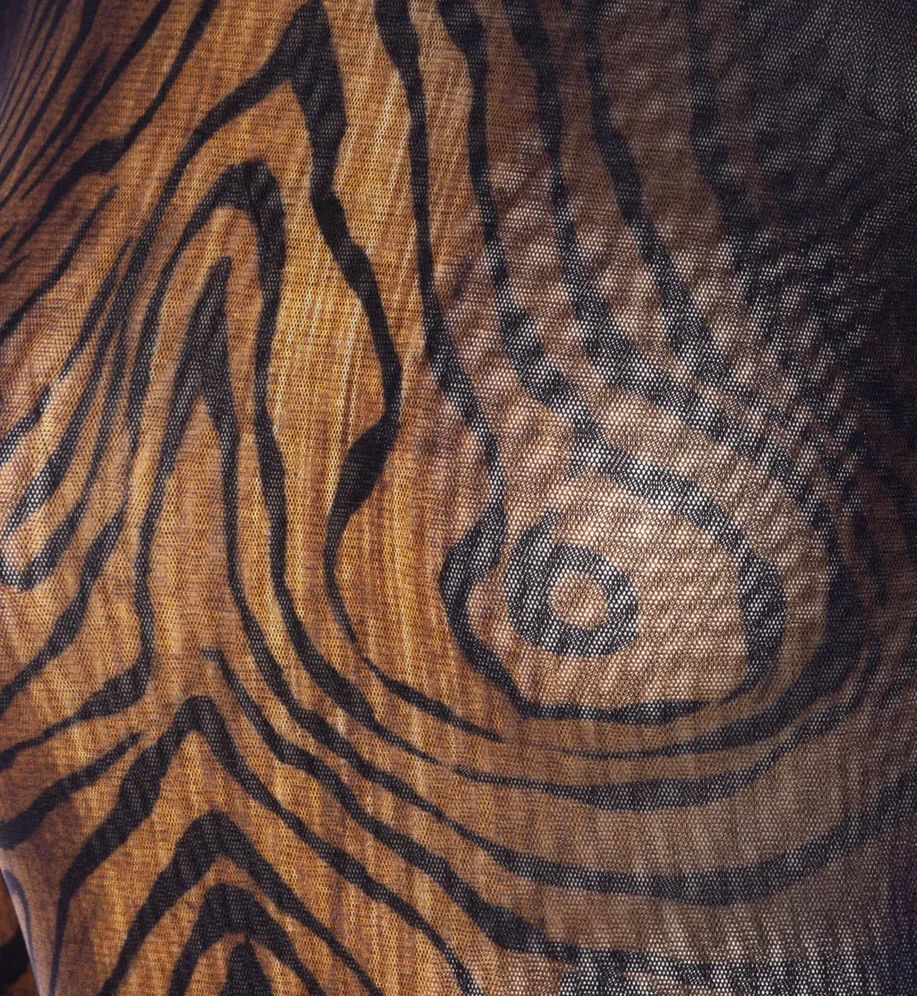 Tiger Print Mesh Bodysuit