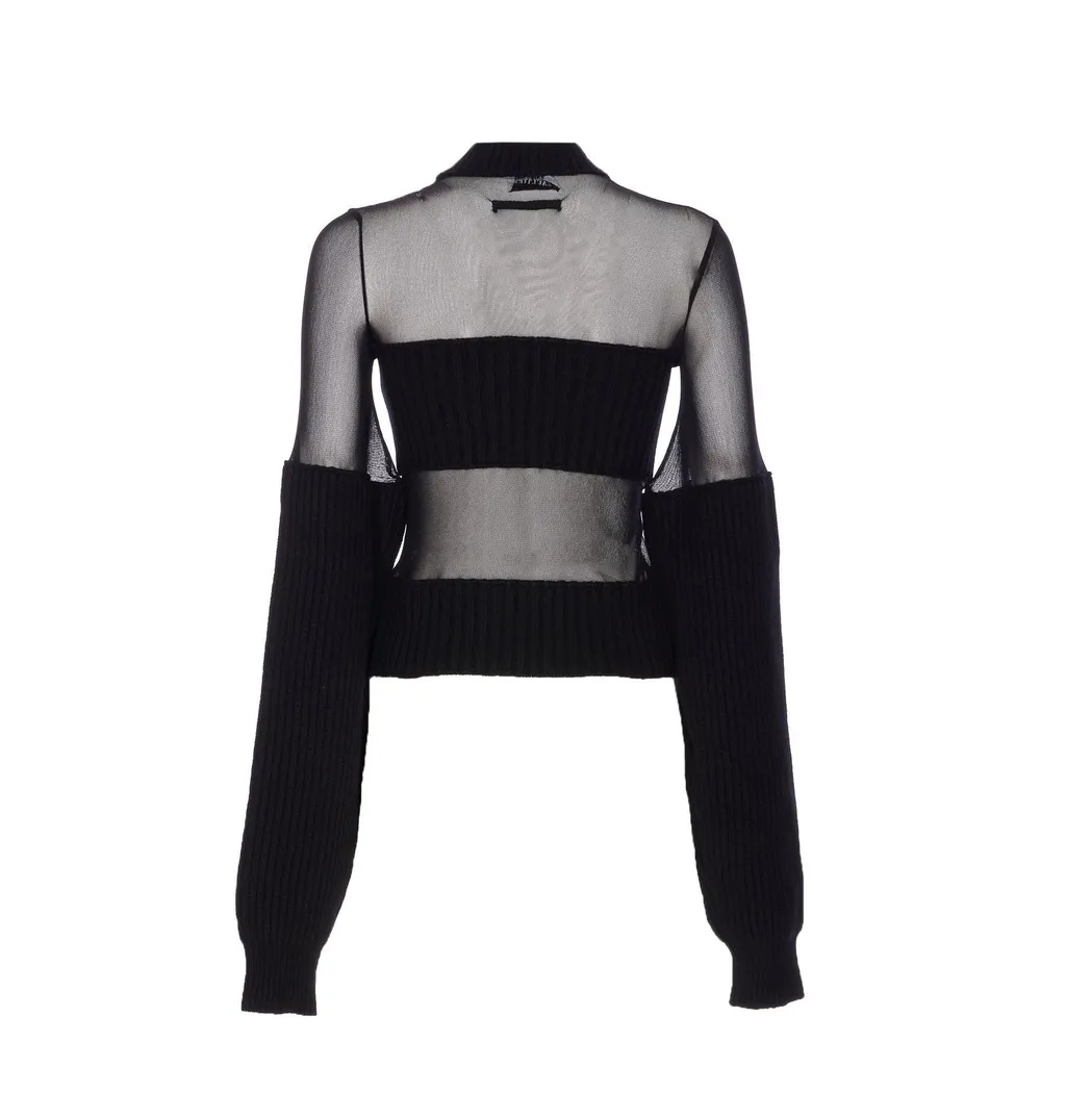Sheer Panel Knit Sweater