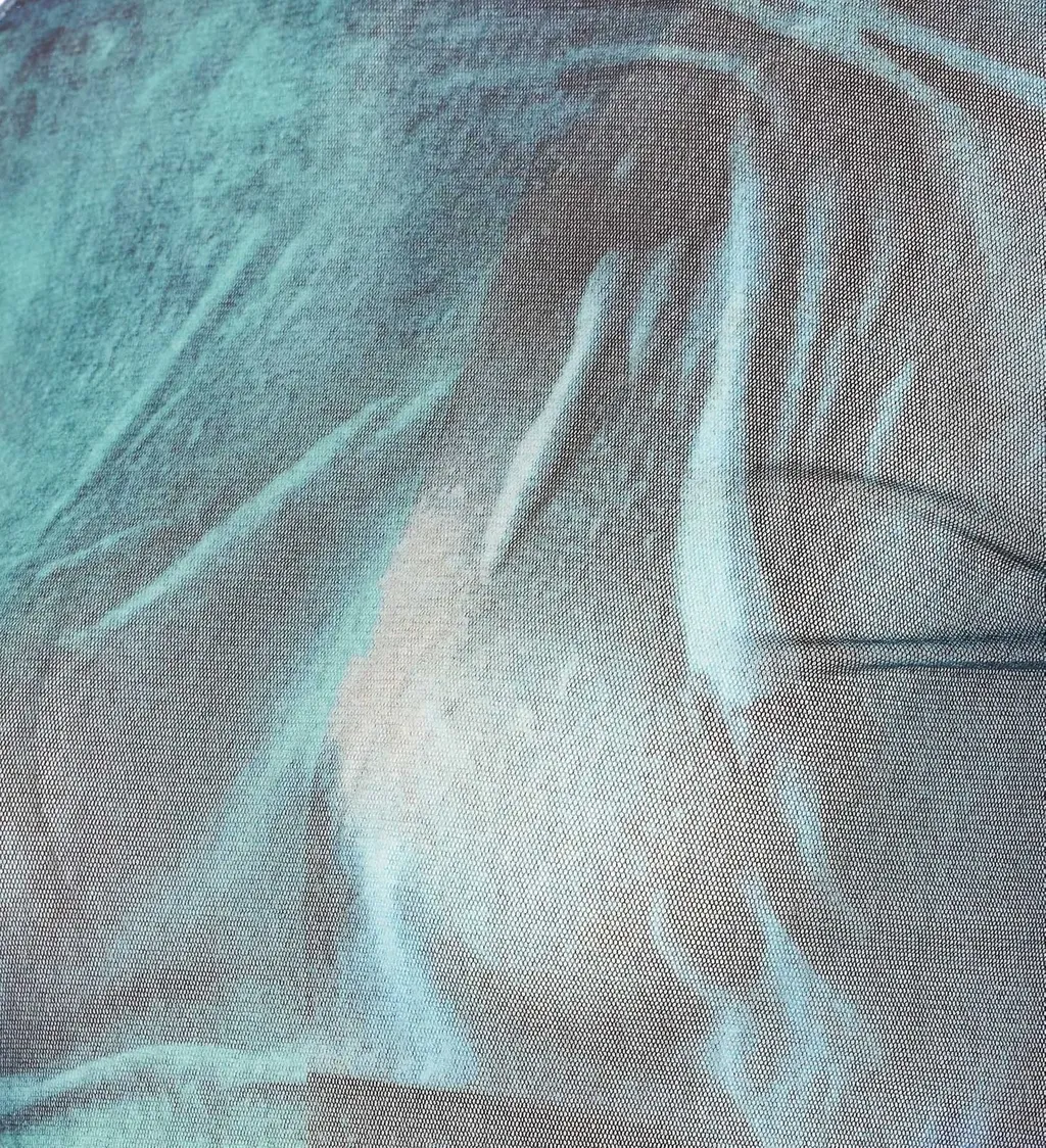 Long Sleeve Mesh Top