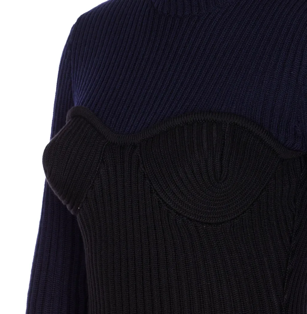 Ribbed Knit Turtleneck Corset Top