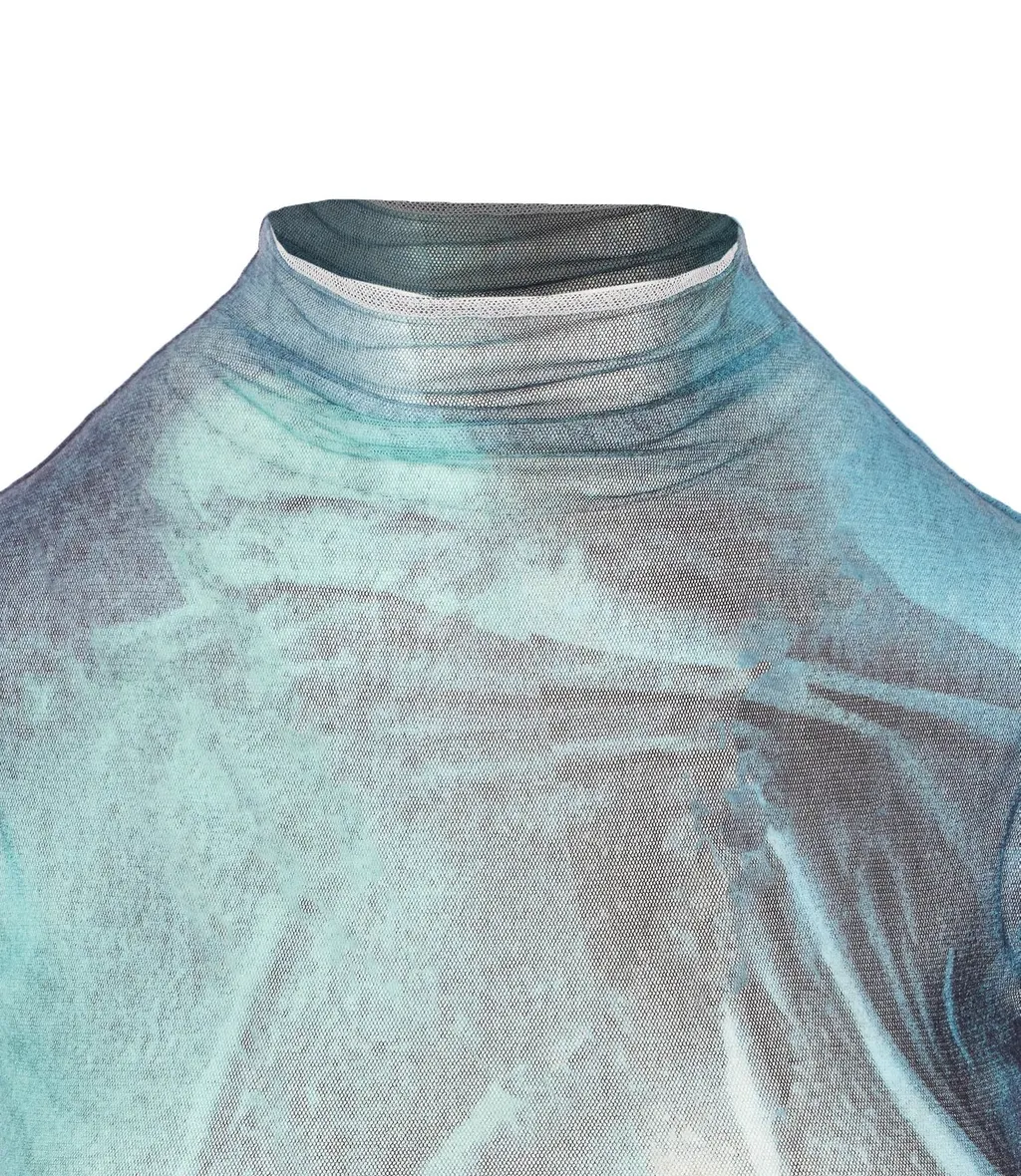 Mesh Turtleneck Top