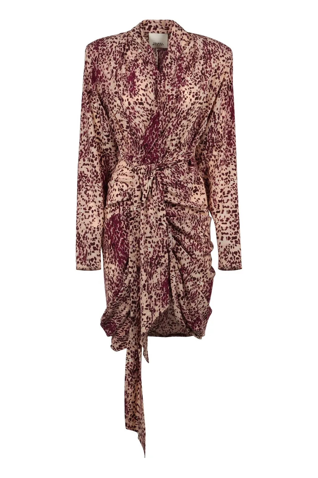 Printed Draped Dress