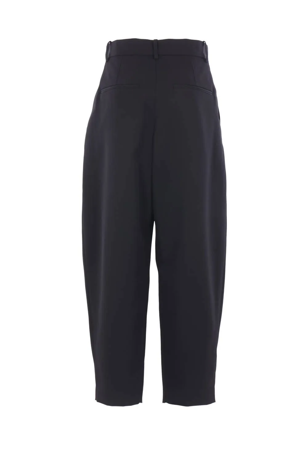 Pleated Trousers