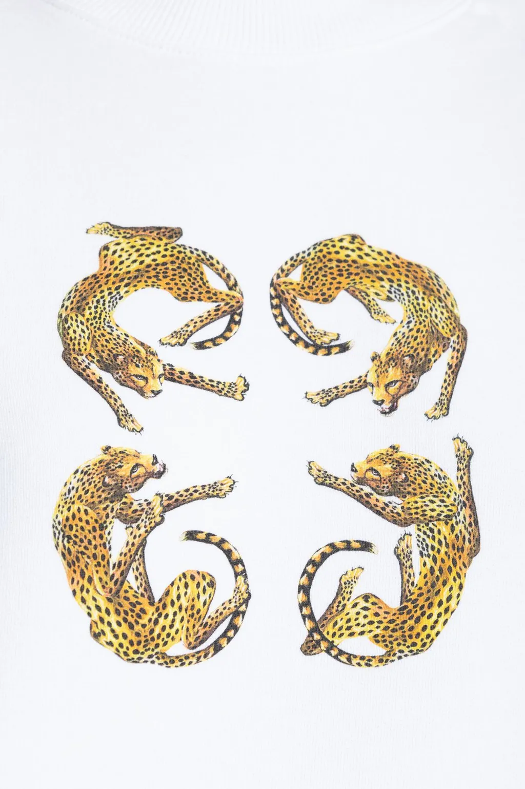Sweatshirt With Leopard Print