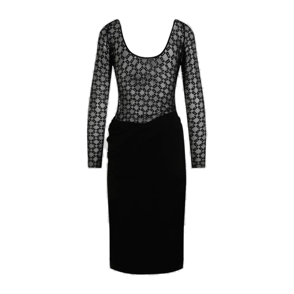 Long Sleeve Sheer Dress