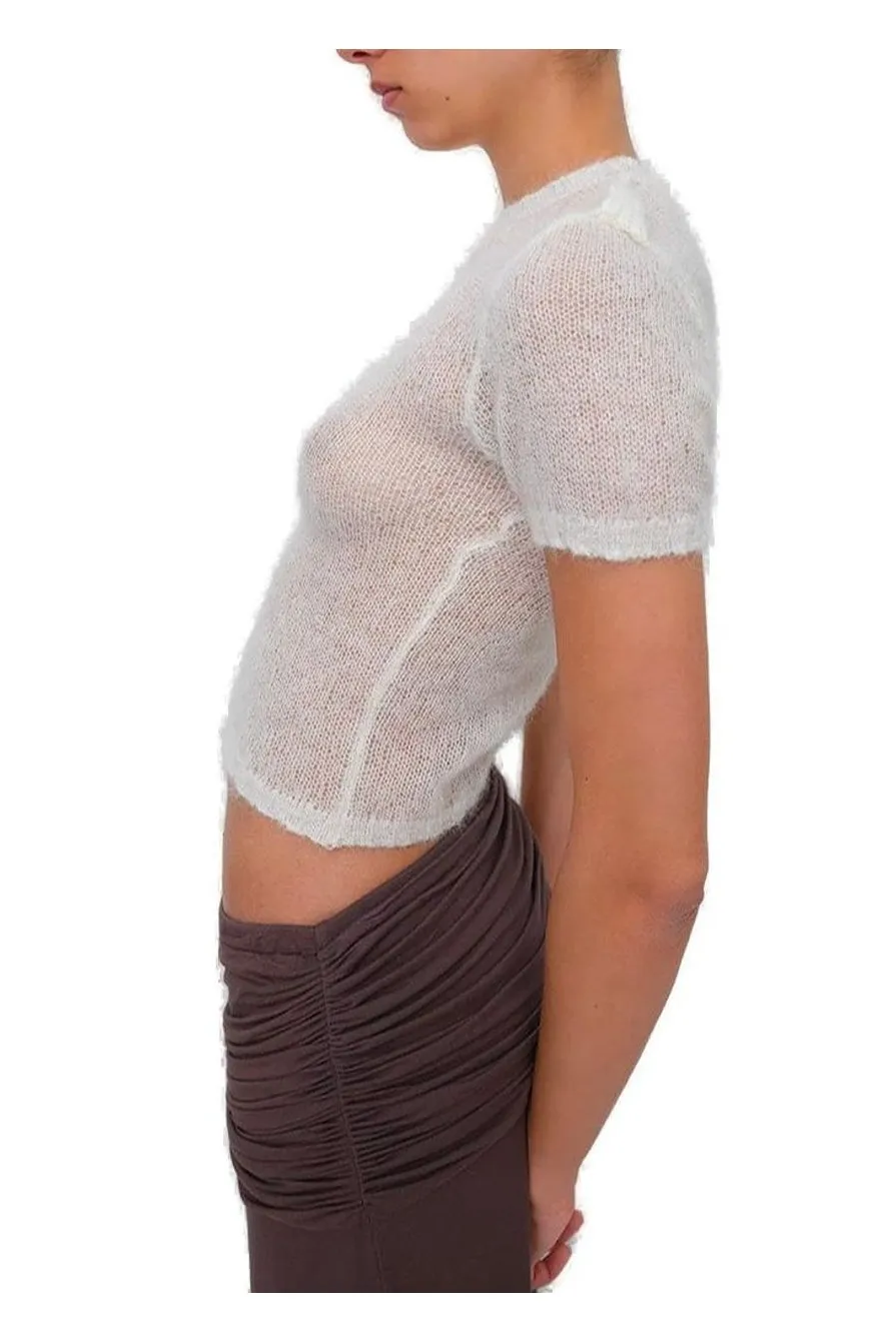 Sheer Knit Cropped Top