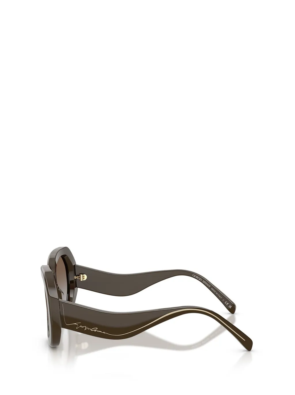 Oversized Oval Sunglasses