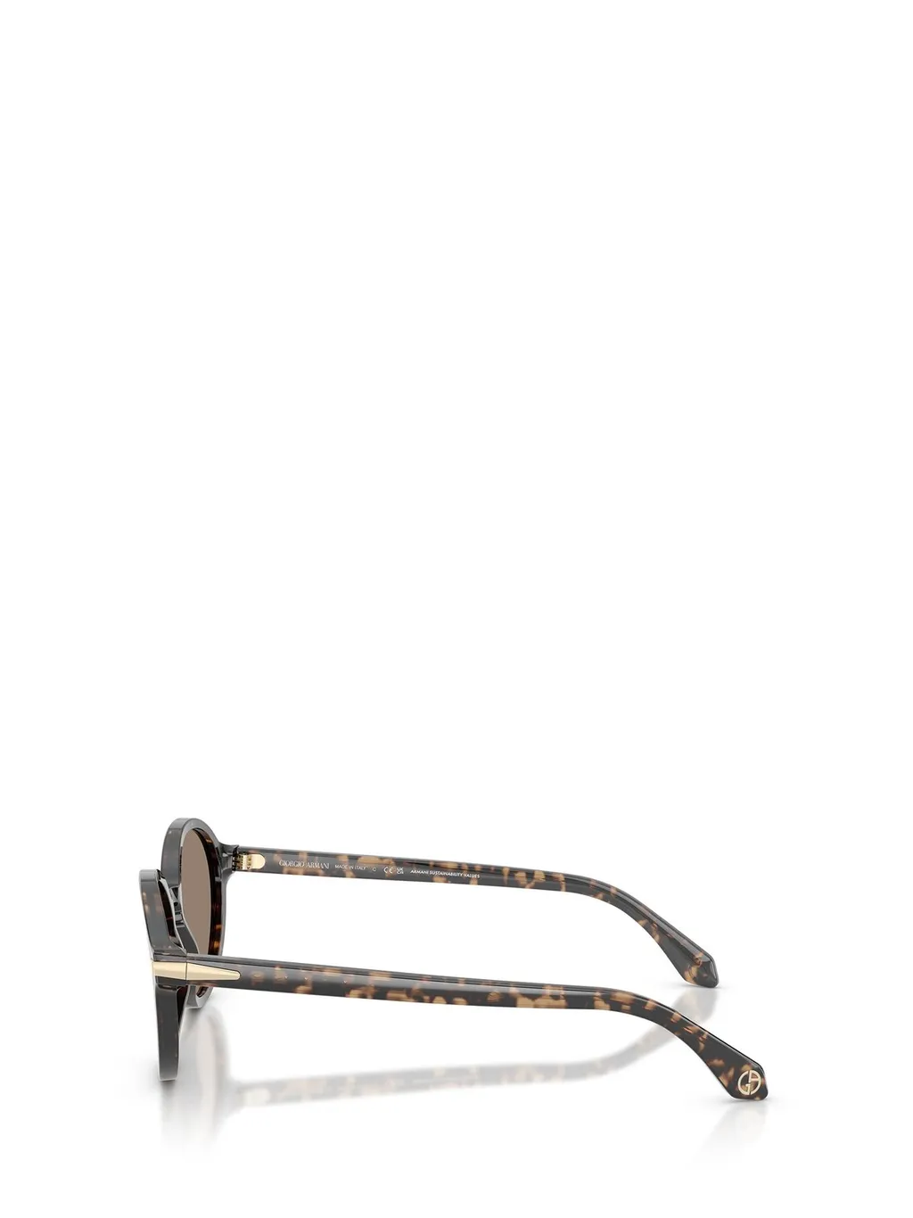 Round Sunglasses