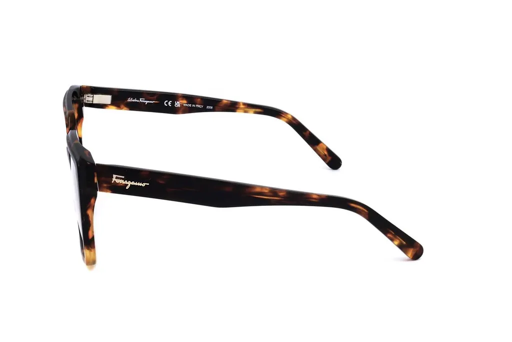Eyeglasses