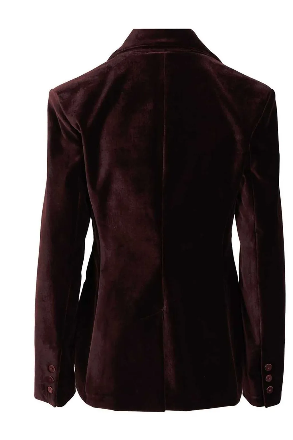 Velvet Blazer With Satin Lapels