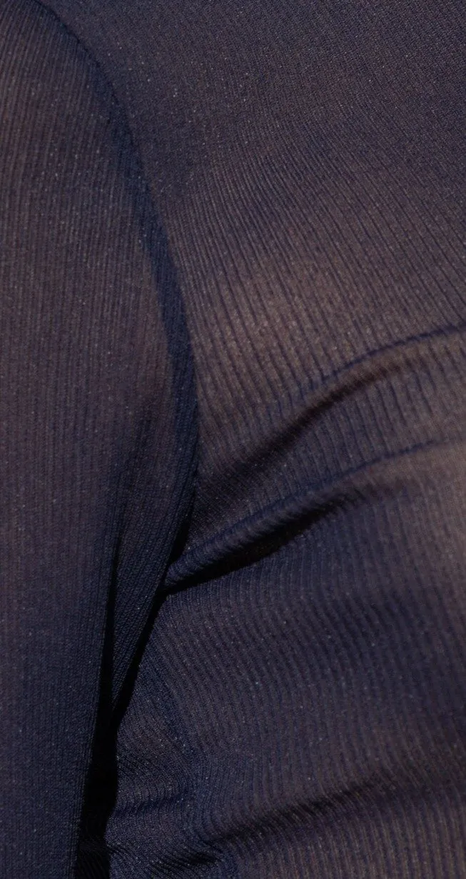 Sheer Turtleneck Top